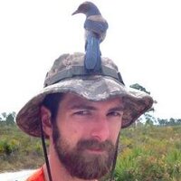 Stephen Ferguson (@rattlecall) 's Twitter Profile
