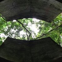 Claudio Kessler (@borregoholandes) 's Twitter Profile