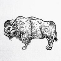 Tonic Records (@tonicrcrds) 's Twitter Profile