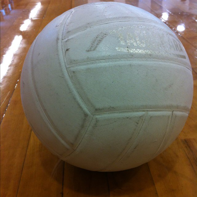 MsEdison17's profile picture. 1st Grade Teacher