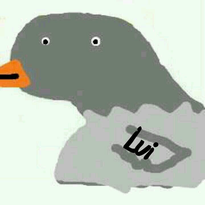 erqebinderlui's profile picture. zoOi l paloma d @erluistomlinson hel s mi viah henterika, lui tk muxOo, 100pre juntikosS, bale? ~ (LLLLL) PikitoOsS pra todOs