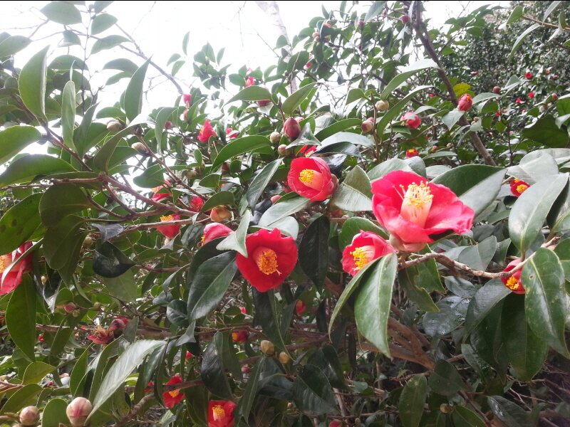 dmsgy6022's profile picture. 