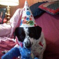 Tammy Todd (@tammytodd22) 's Twitter Profile Photo Tammy Todd (@tammytodd22) 's Twitter Profile Photo