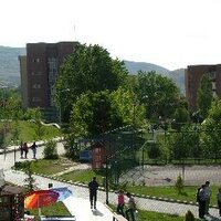 turnusol💚🇹🇷 (@turnusolrengi) Twitter profile photo