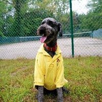 Coloma / St. Joseph KOA (@colomakoa) 's Twitter Profile