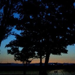 vivivijijiji's profile picture. 