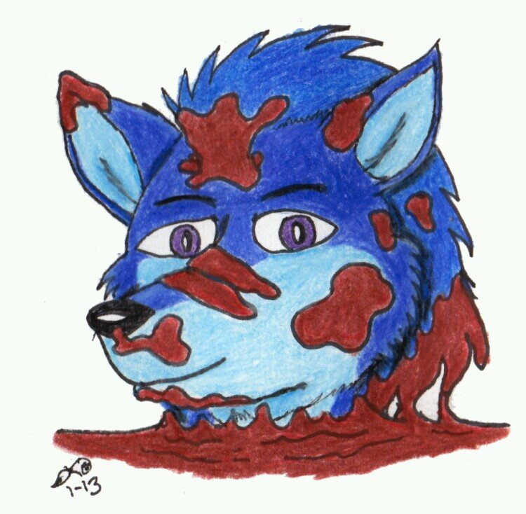 The adult account for one, blue Bocephus_Wusky