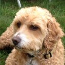 Eileen McDonnell - @skiers2be - Twitter