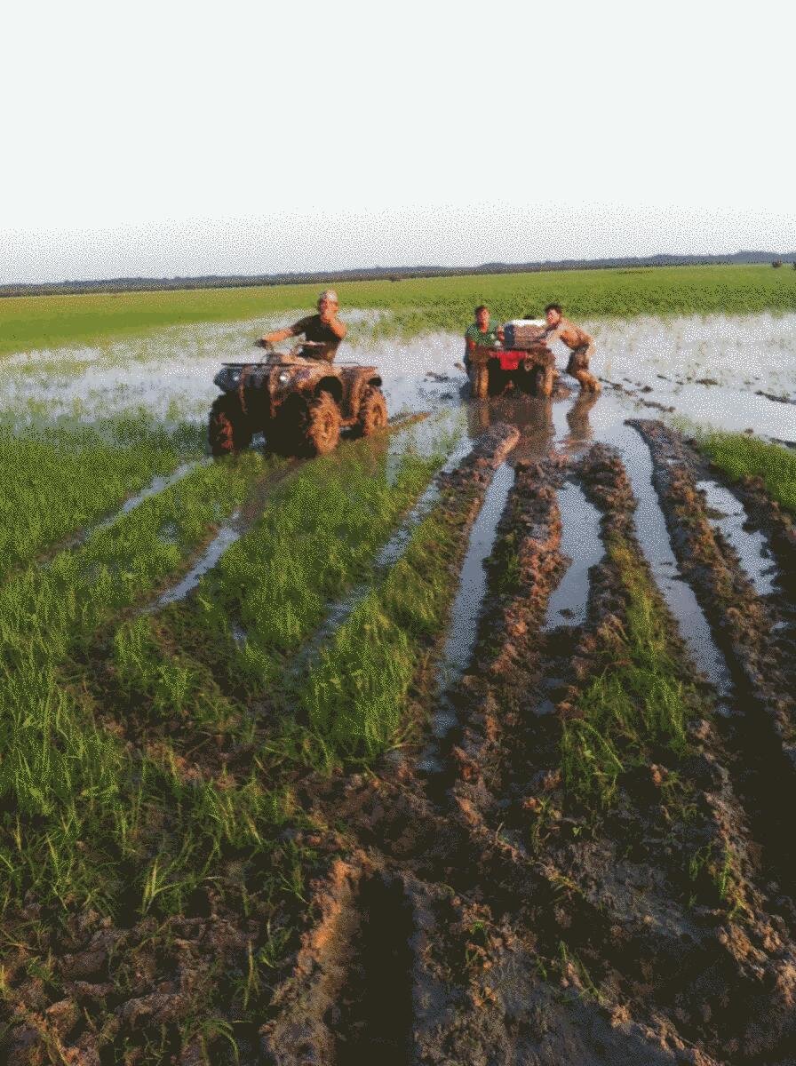 JoshuaPrybar628's profile picture. 