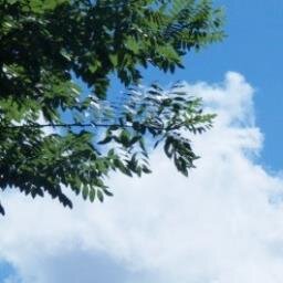 新潟県出身、現在千葉県我孫子市に住んでいます。趣味はカラオケ、野球、料理で土日は自炊をしてのんびりしています。誰とでも仲良くなれるタイプです。今年は彼女みつけて早く結婚したいです！