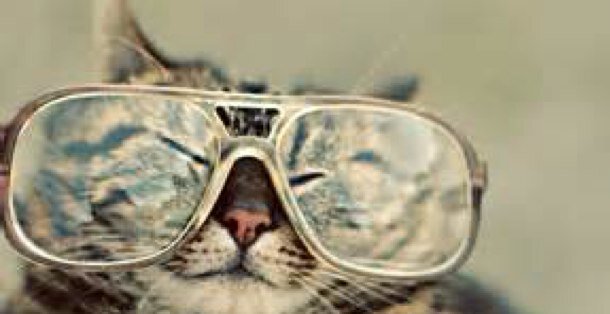 martamclean's profile picture. 