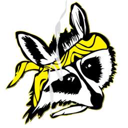 rcoonzRnotafrdo's profile picture. A(n) (experimental) filmmaker, former raccoon.