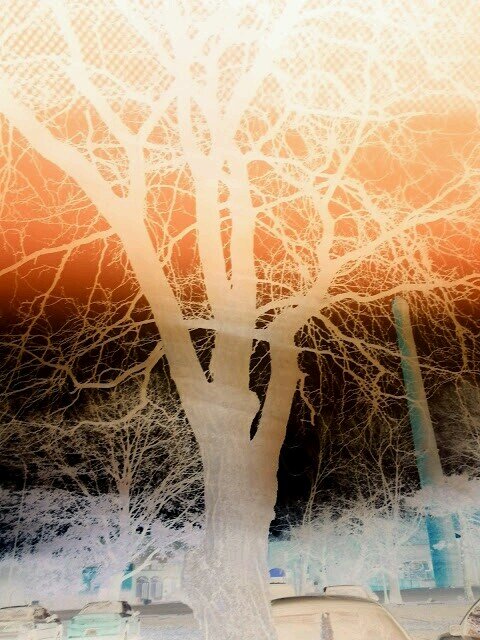 02angc's profile picture. Just a shy woman