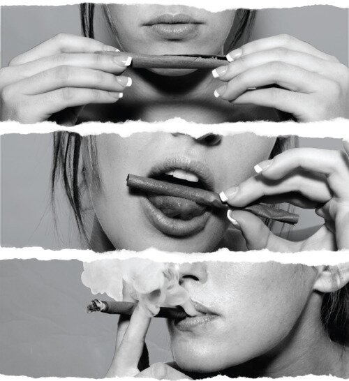 Just your basic white girls. Party and Bullshit. Roll Blunts. Get Laid.