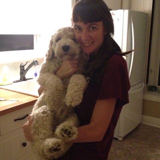 StephHint1's profile picture. 