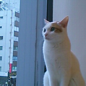 frodo_bb's profile picture. 
