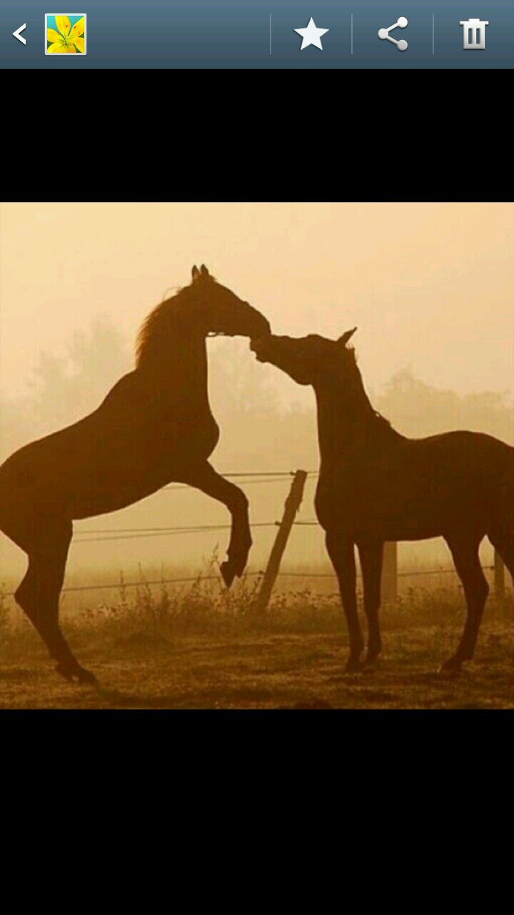 أول ما تأخذه من الدنيا شهقـة هواء .. و أول ما تتركه من الدنيـا زفير هواء ! هذا هو العـدل : أنك تعيد م أخذت ♡