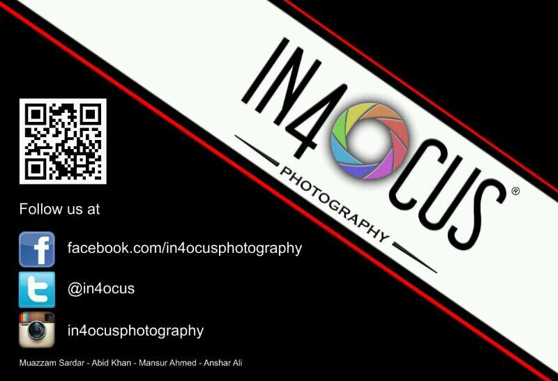in4ocus Profile Picture