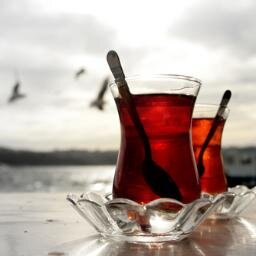 iletişim; caykolizm@gmail.com instagram caykolizm - @caykolizm yedek sayfasıdır...