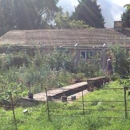 Ok here's the story; dated, unloved bungalow but location.....on a vineyard, this is our record of the journey. In 2018 we purchased 1/2 acre of vineyard..cool!