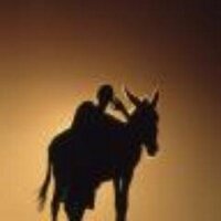 Yusuf Akbulut (@yusuf_akbulut) Twitter profile photo