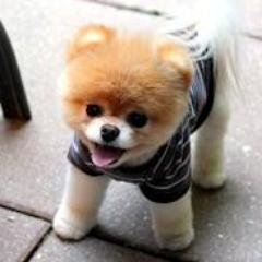 ronniesy_'s profile picture. God-fearing ^^