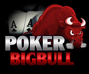 We offer products like Rapid Cash Poker,Online Casino Games,Bingo Network and Online Live Casino.
Want to become part contact us on affiliates@pokerbigbull.com