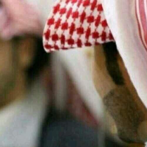 مـَغّرَدِ ولا يعجبني سـوى المُستحيل .* مُقتبـس وإن أصبـحَ مزآجي جيدًا أكتُب .* كتِاباتي جزء غآمض لا تُفسرها كما تُـريد . لَك حَريتَ الاضَـآفہ.