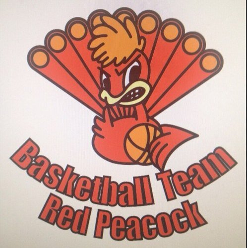 バスケサークル名古屋大学『Red Peacock』です！ 名大を中心にいろいろな大学から集まって週2、3回の練習だけでなくセカステなどの大会に出場してます⛹🏻‍♂️  経験者大募集です！気軽にDMください！