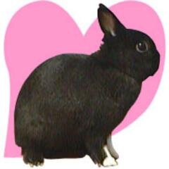 うさぎとシャチとミミッキュが大好きです
黒い動物は割と高確率で好きです
好きな味は梅味さくら味イチゴ味カフェオレ味です