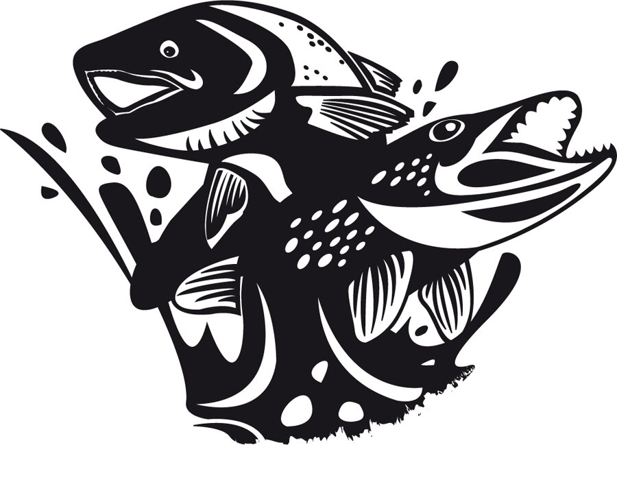 Pike and Predator Fishing. The season of the Pike is here!