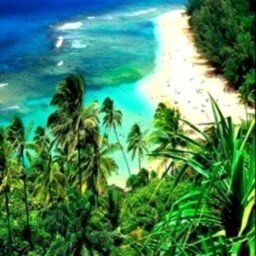 HaOyTTEST_JACK's profile picture. 人なるで努力