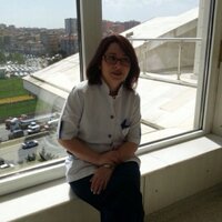 Lale Ercan (@laledemirkol) Twitter profile photo