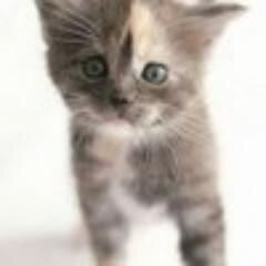 Музыка правда незрячим откроет глаза!!!