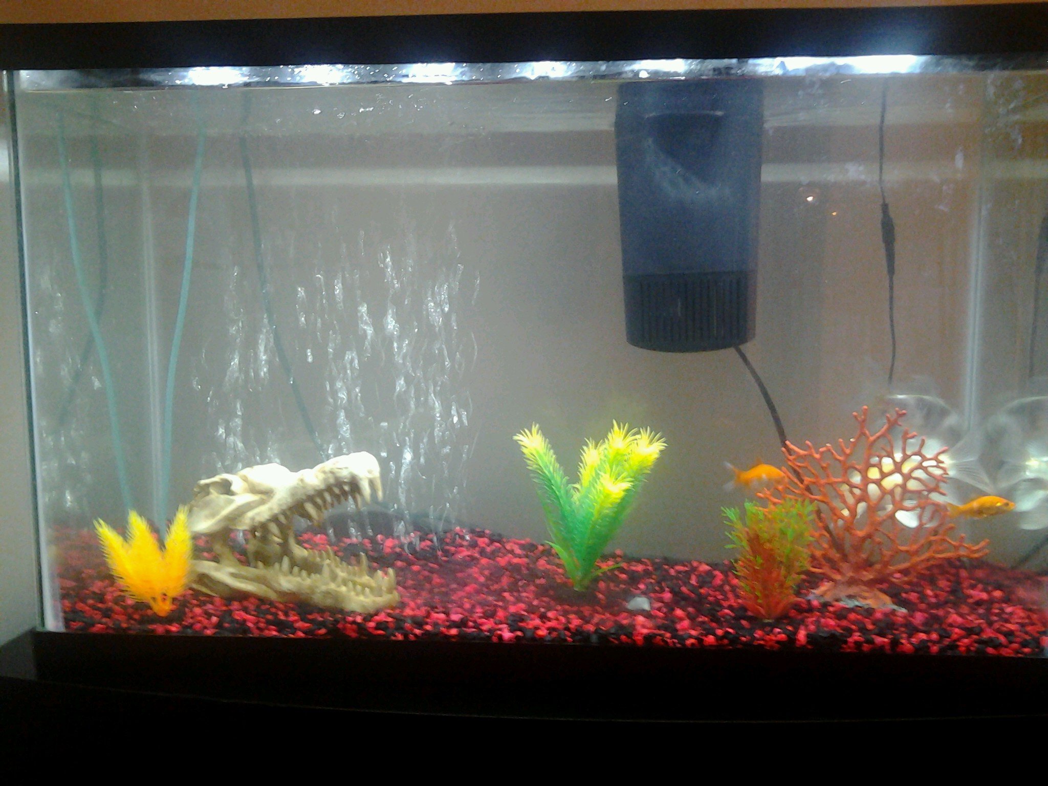 Tayfish711Jesus's profile picture. 