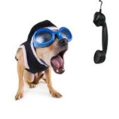 hosvblog's profile picture. Tweeting for liberty! Female #libertarian, soon to be published author, the relentless pursuit of knowledge, 3-time tennis All-American,   #RonPaul #TomWoods