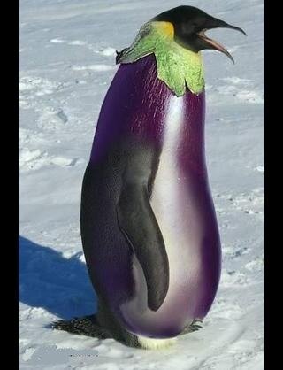 aqvege's profile picture. 