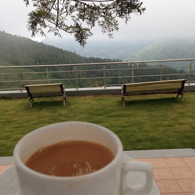 Yavarumkelir's profile picture. 