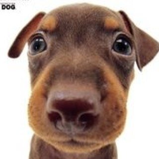 currymango's profile picture. 手元に置いておきたい情報を集めたり、つぶやいてみたり…。時間を置いて開けて見たときに「あっ、こんなのあった！」って、おもちゃ箱のような感覚でXができれば。リポストは賛同の意だけではありません。