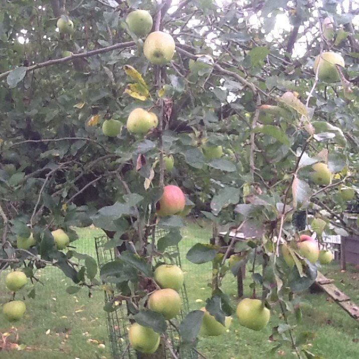 Mariettewijn's profile picture. 