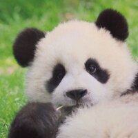 mana (@manaty0627) 's Twitter Profile