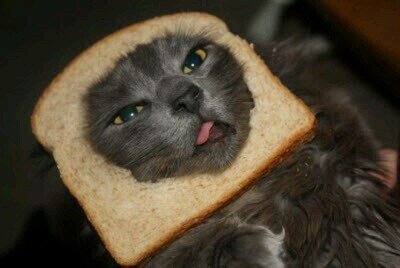 bread me