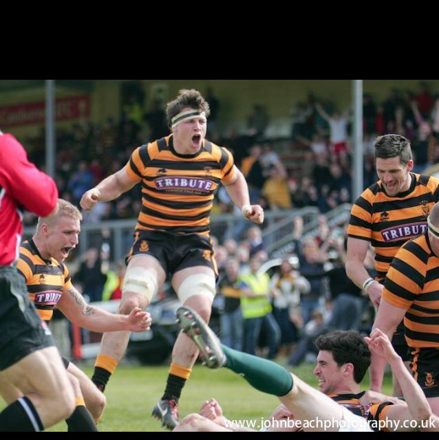 Rugby Coach, Cornish, Big Tongue