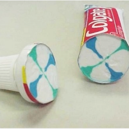 Bringing you amazing pictures of every day things cut in half.