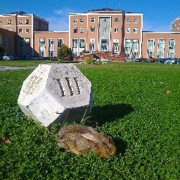 SaraMira_Bio's profile picture. Profesora de Biología de la E.T.S. de Ingenieros Agrónomos de la Universidad Politecnica de Madrid (UPM)