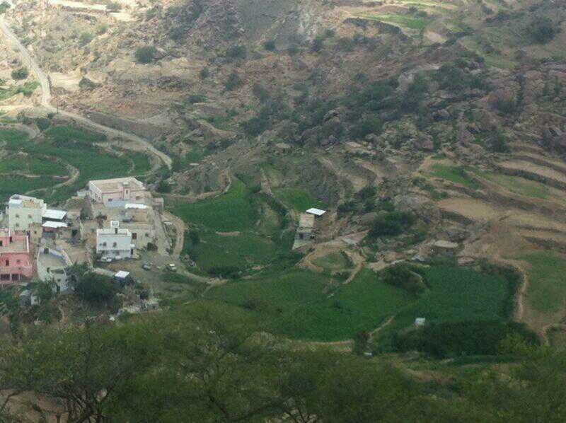 ‏‏‏‏محايل عسير