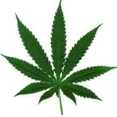 Hi,

We are trying to raise awareness about the dangers of drugs, and who you can go to for help if you are ever in a bad situation with drugs.