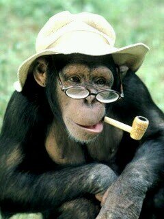 Smoke weed everyday.      Welcome to my trip.