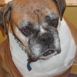 Lazyprinter4's profile picture. 