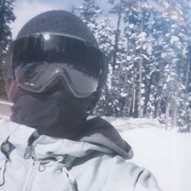 mcolasardo's profile picture. 